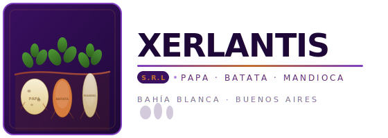 XERLANTIS S.R.L